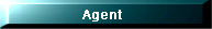 Agent